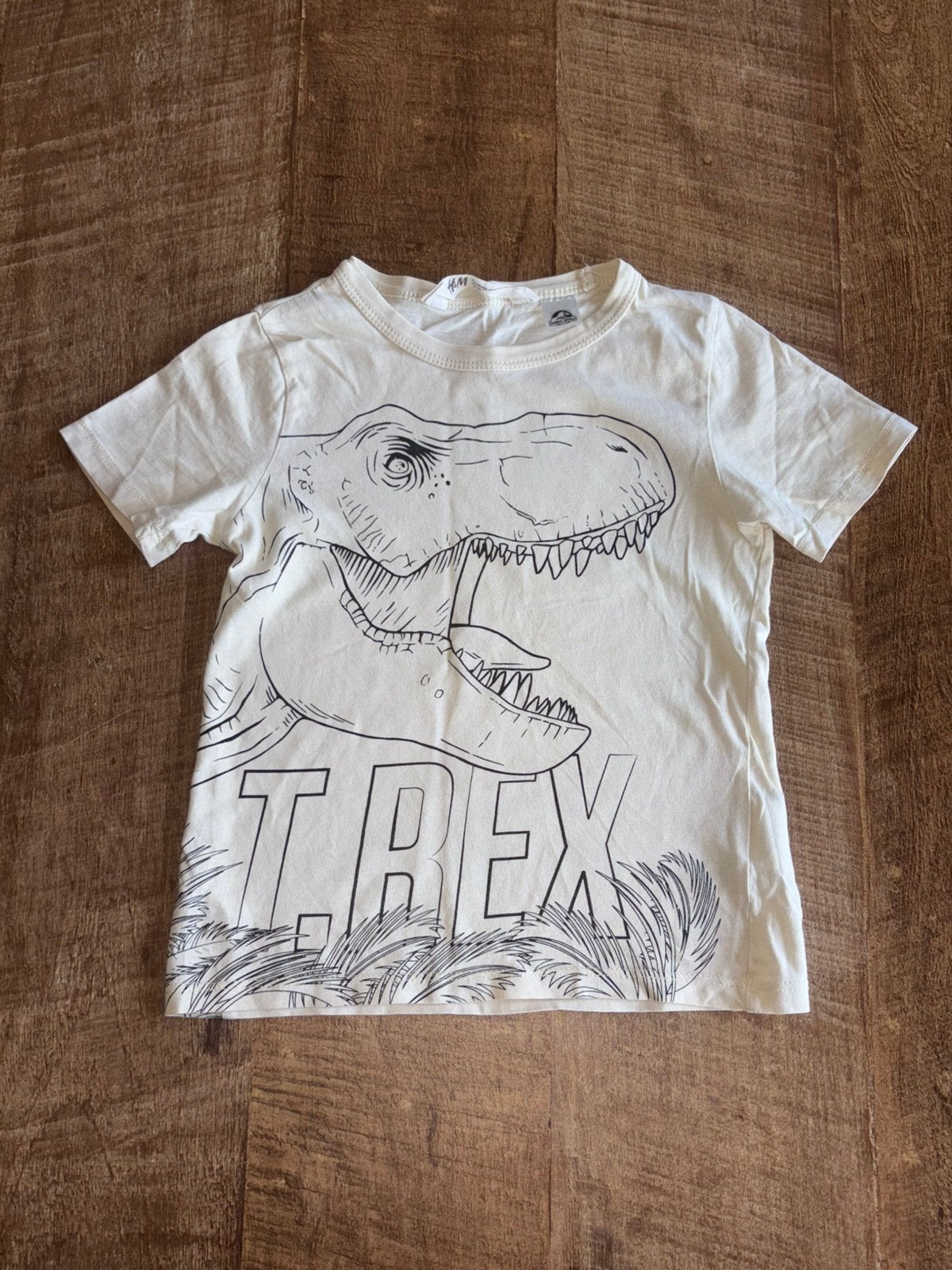 Creme T-shirt met dino maat 98/104, Ophalen of Verzenden, Zo goed als nieuw, Jongen, Shirt of Longsleeve