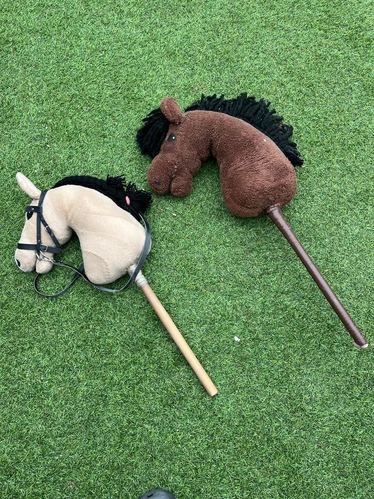 Hobby horse, Ophalen, Gebruikt, Jongen of Meisje