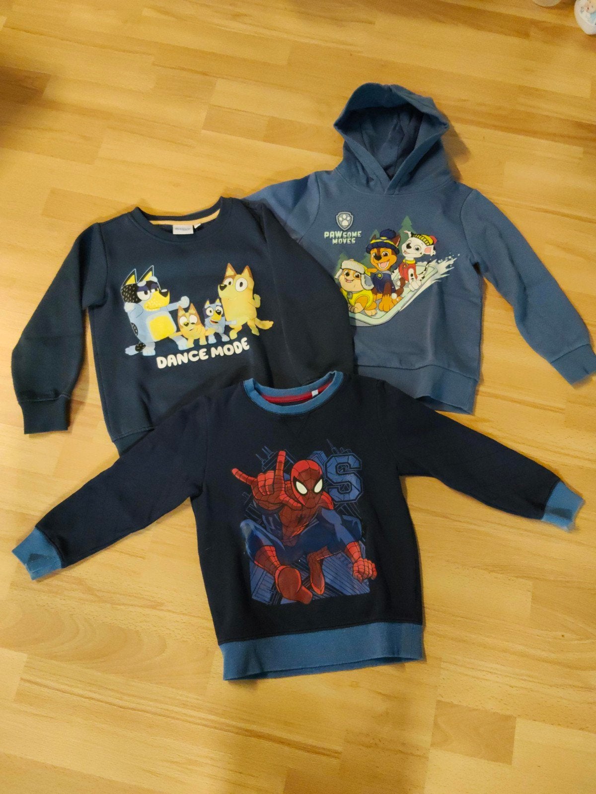 Jongens winter truien, maat 116 Paw Patrol/ Bluey/Spiderman, Kinderen en Baby's, Kinderkleding | Maat 116, Gebruikt, C&A, Ophalen of Verzenden