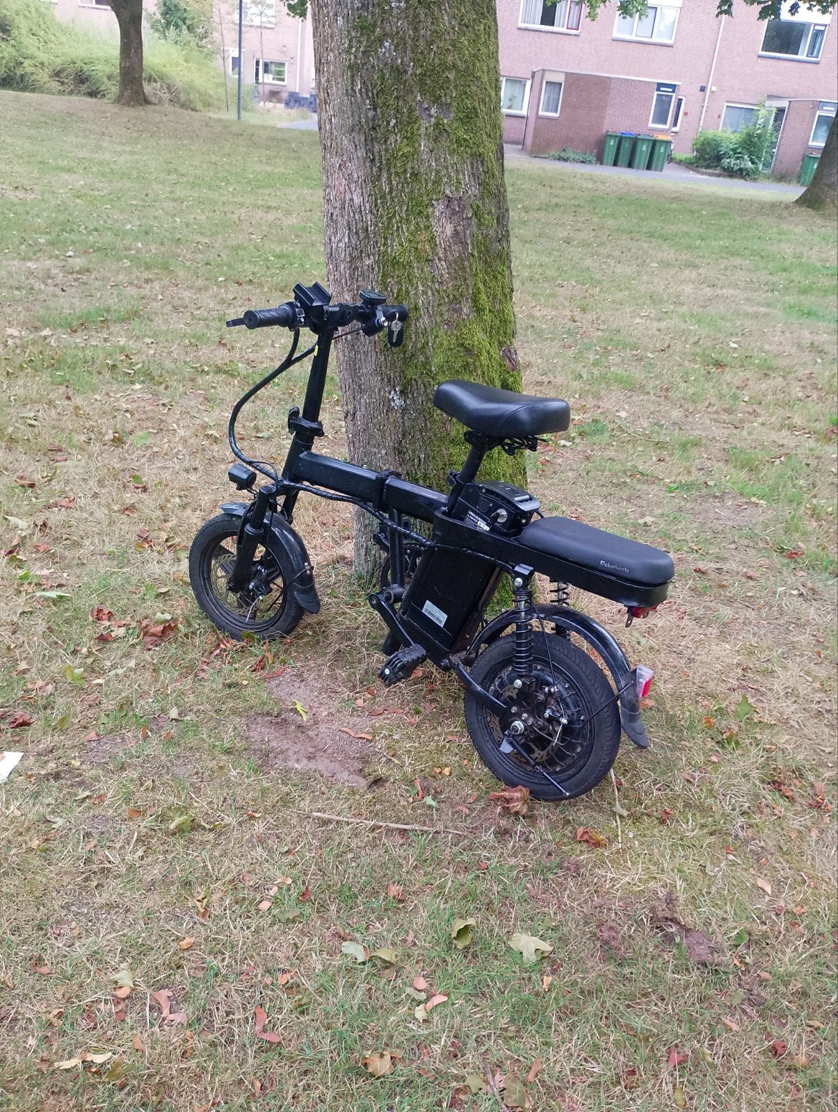 e bike, Ophalen, Overige merken