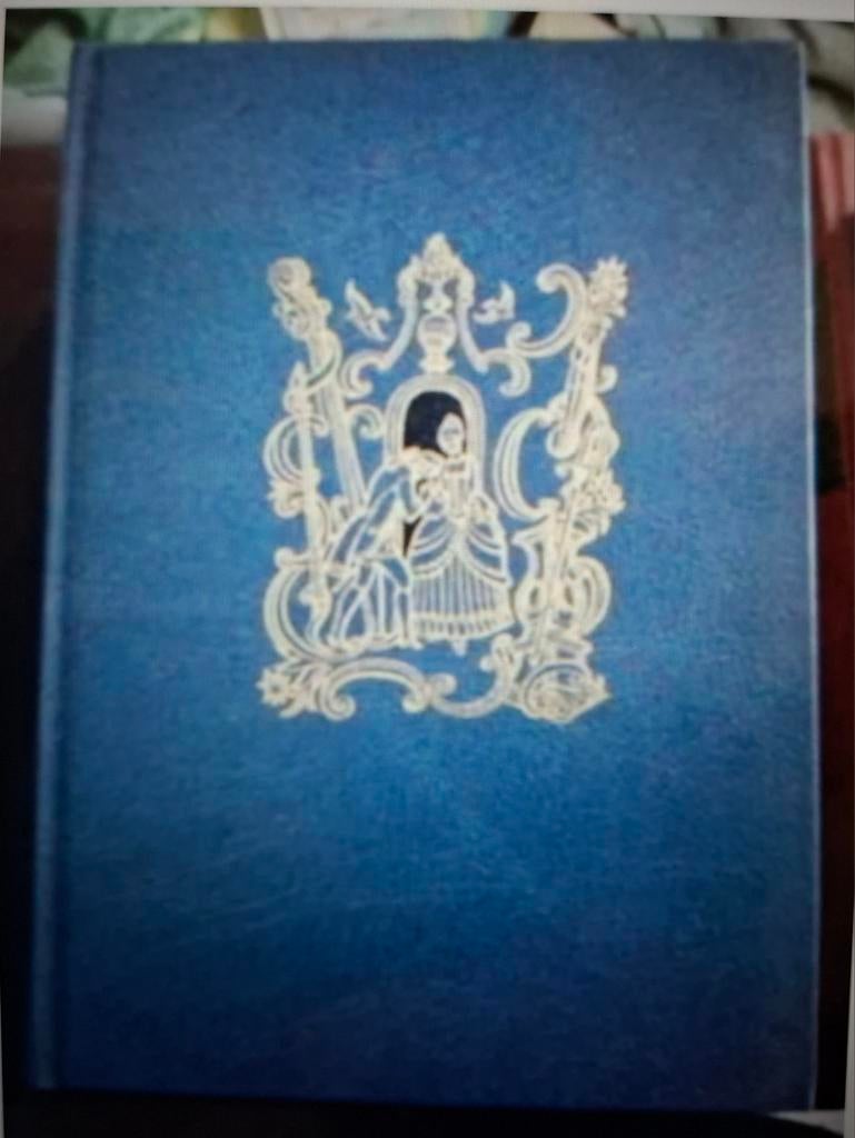 Roman De magische spiegel, Boeken, Ophalen of Verzenden, Zo goed als nieuw, Kathinka Lannoy, Nederland