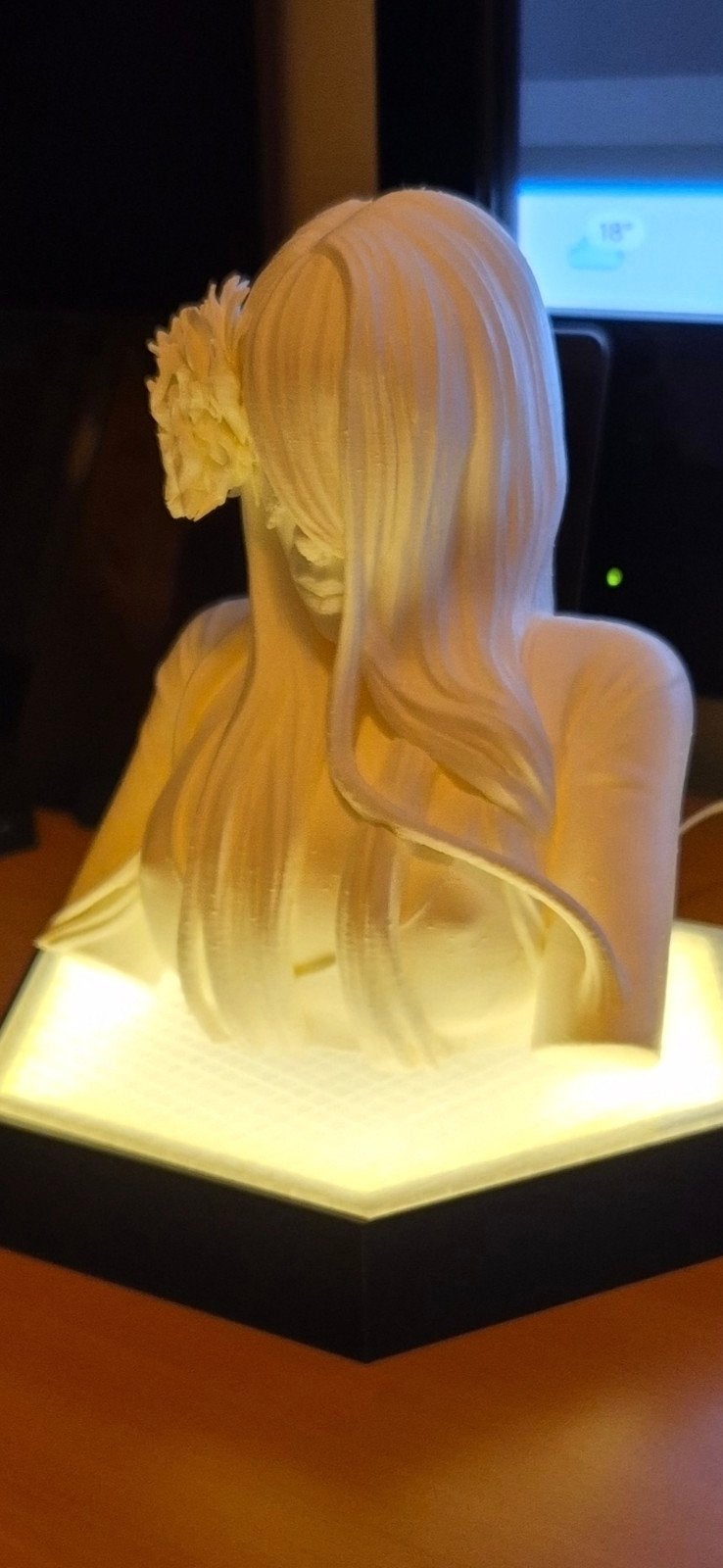 je eigen ,samen ,iemand of huisdier in 3d?, Diensten en Vakmensen