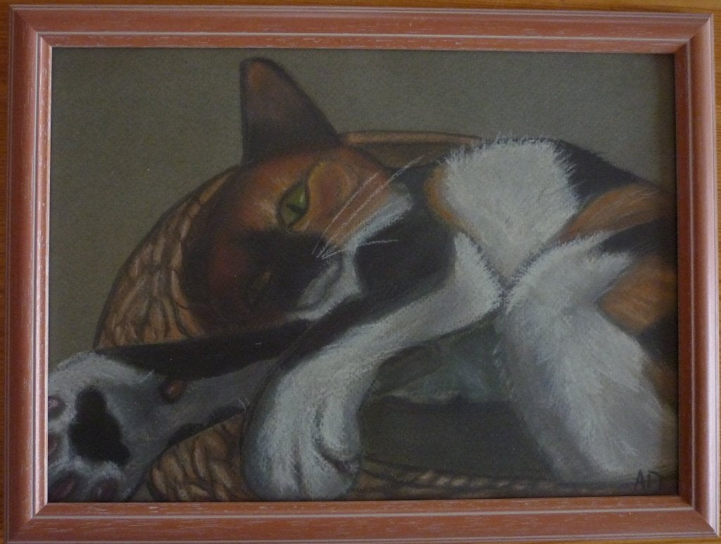 Poes, Realistisch, Dieren, Ophalen of Verzenden, Origineel werk
