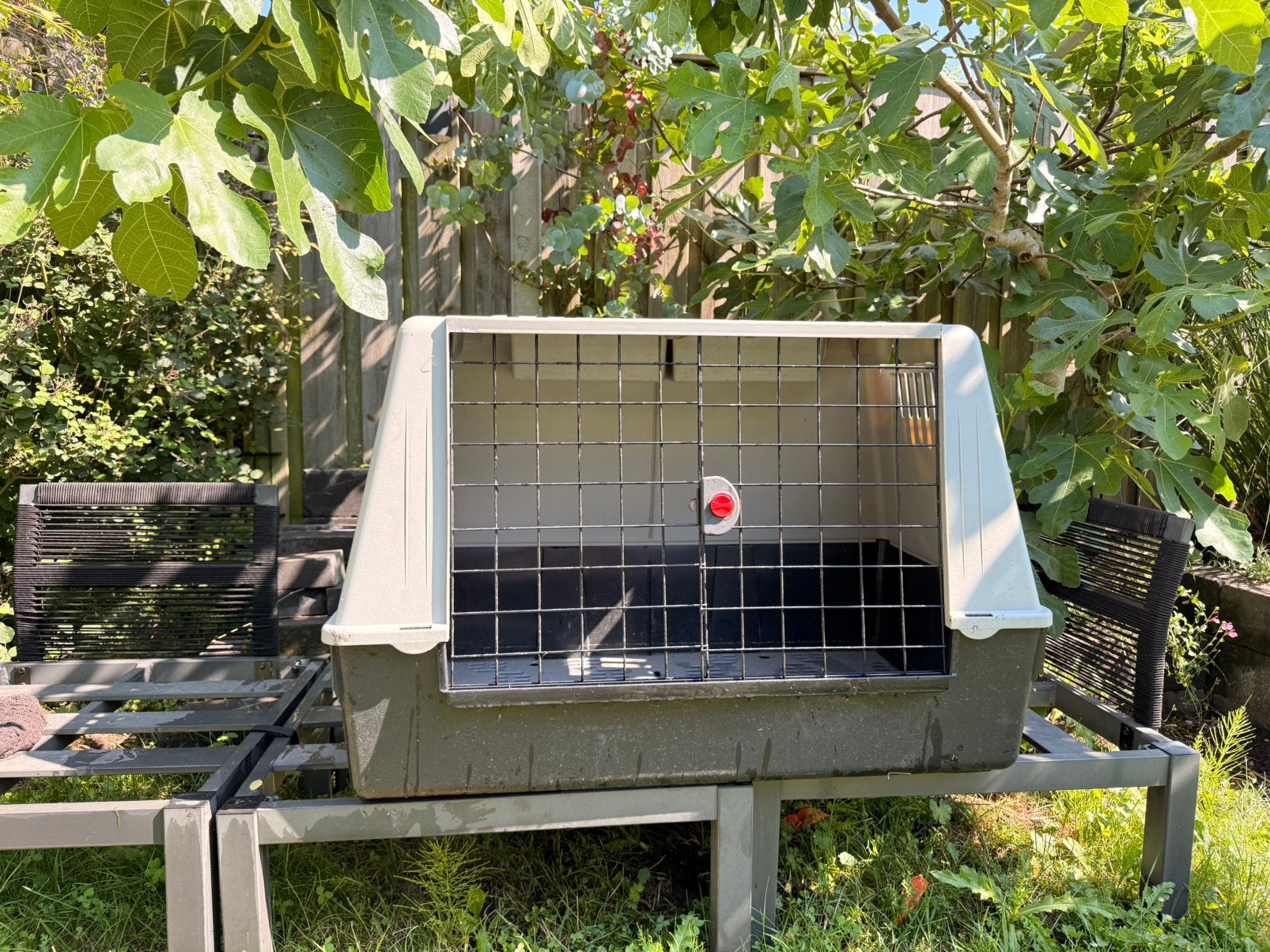 Transport kennel grote hond kunsstof, Ophalen, Hondenkennel, Gebruikt, 65 tot 100 cm