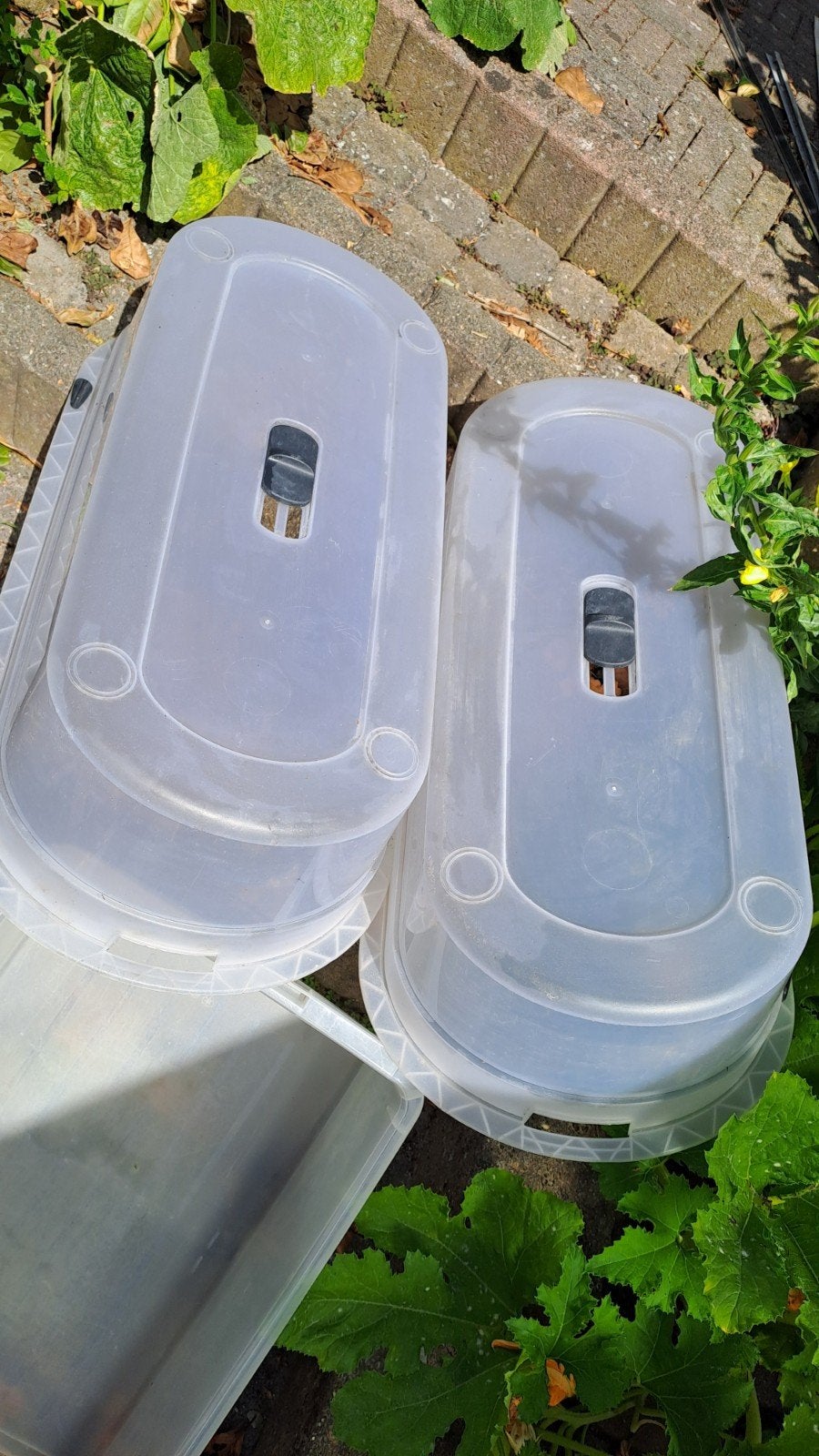 2 deksels voor kweekbak/opbergbox 76x39x21 cm, Ophalen, Gebruikt, Kweekbak