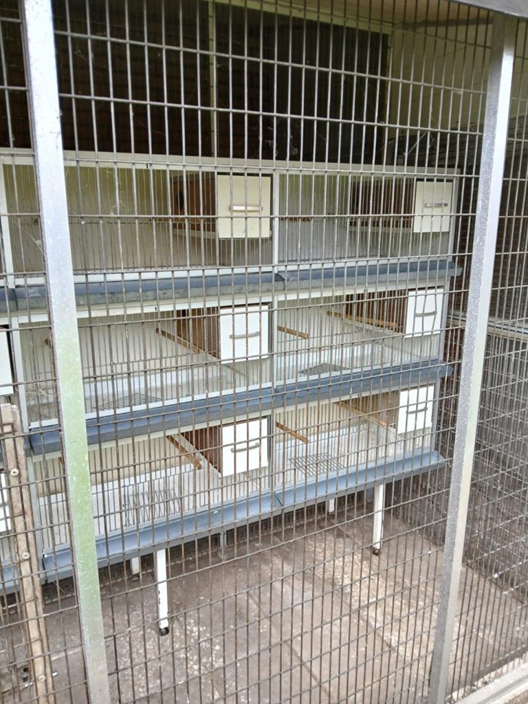 Te koop broed kooien  voor agapornis, Dieren en Toebehoren, Ophalen, Zo goed als nieuw, Hout, Broedkooi of Kweekkooi