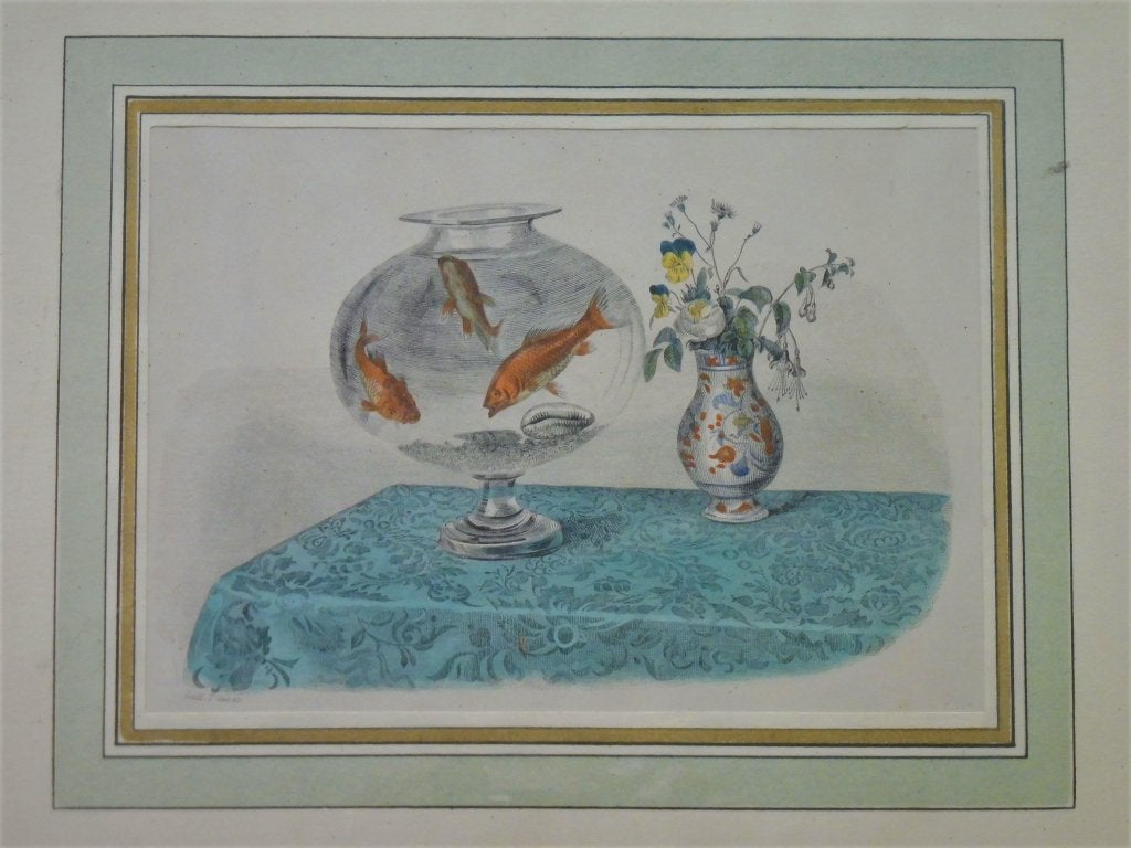 Gravure vis viskom met De Gouden Cyprin Goudvis 1839, 28 cm, 1800 - 1899, Met tekst, Ophalen of Verzenden