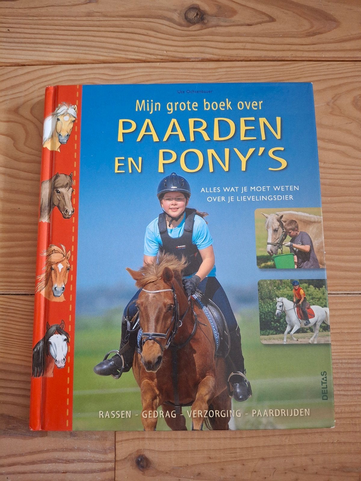 Mijn grote boek over paarden en pony's, Ophalen of Verzenden, Zo goed als nieuw, Ute Ochsenbauer