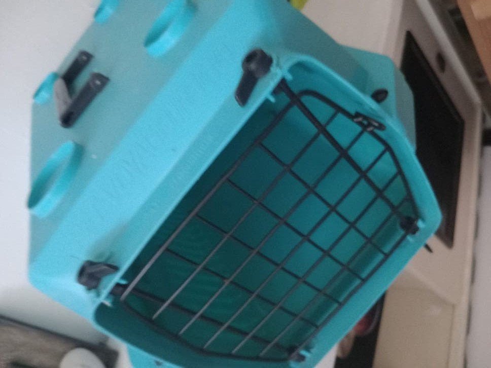 Transport Box Reismand 🐈, Ophalen