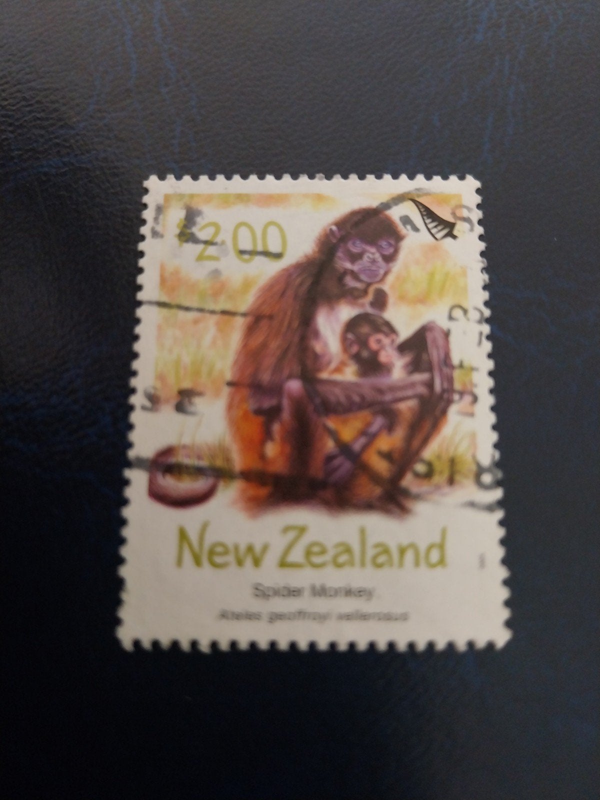 NZ monkey 200, Ophalen of Verzenden