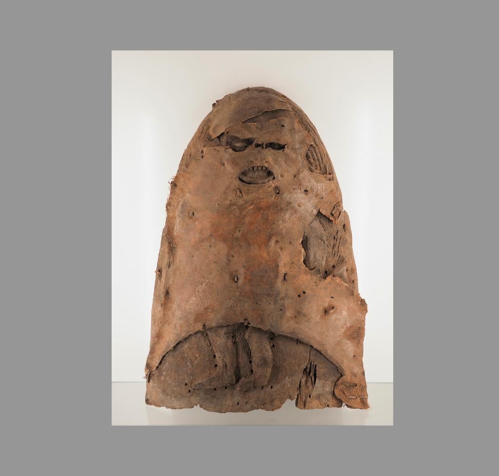 Uniek en zeldzaam Bangwa schild (120729-09), Ophalen of Verzenden
