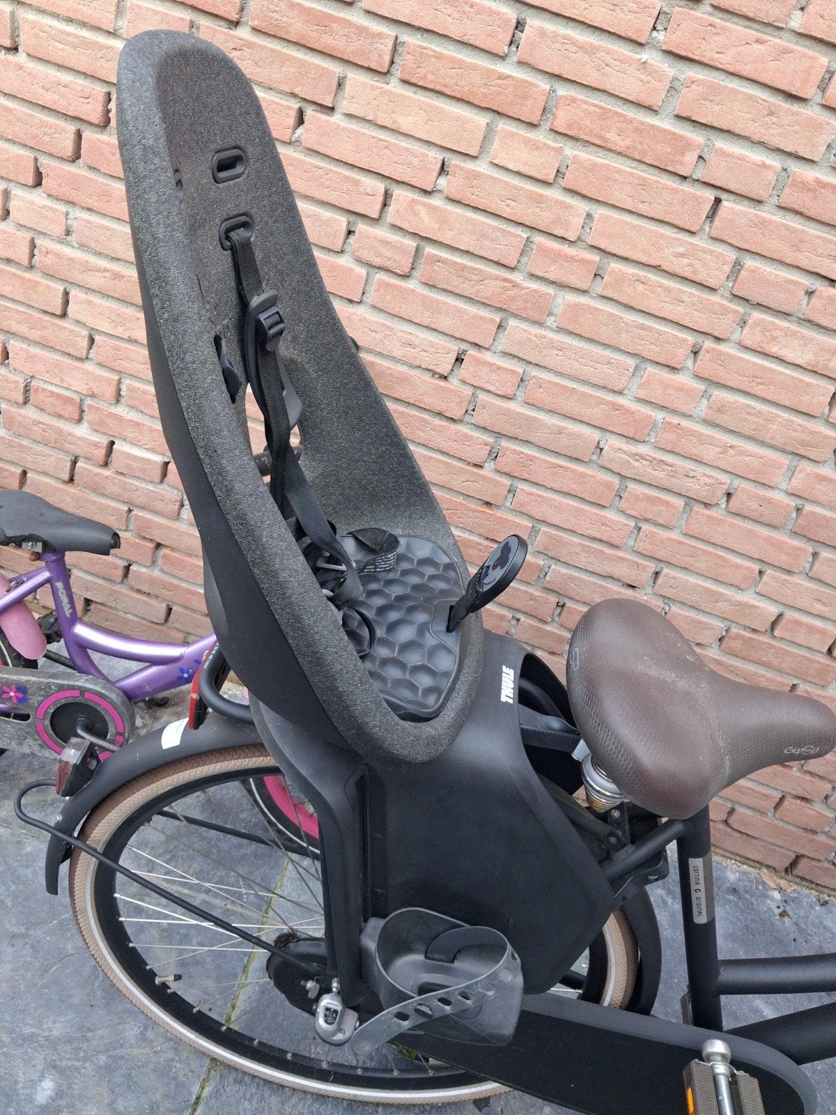 Thule Yepp Nexxt Maxi Achterzitje - Gebruikt, Ophalen, Achterzitje, Thule, Gebruikt