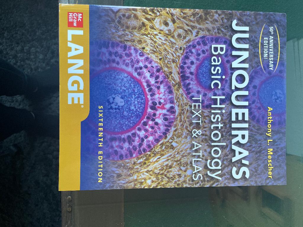 Junqueira’s basic histology, Boeken, Ophalen of Verzenden, Beta, Zo goed als nieuw, WO