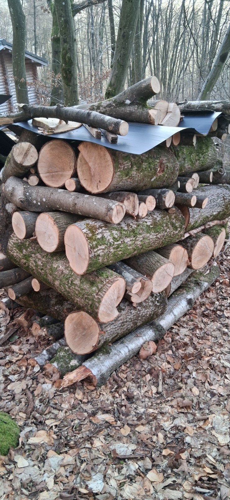 haardhout kachelhout openhaard hout kachel haard openhaardho, 6 m³ of meer, Ophalen