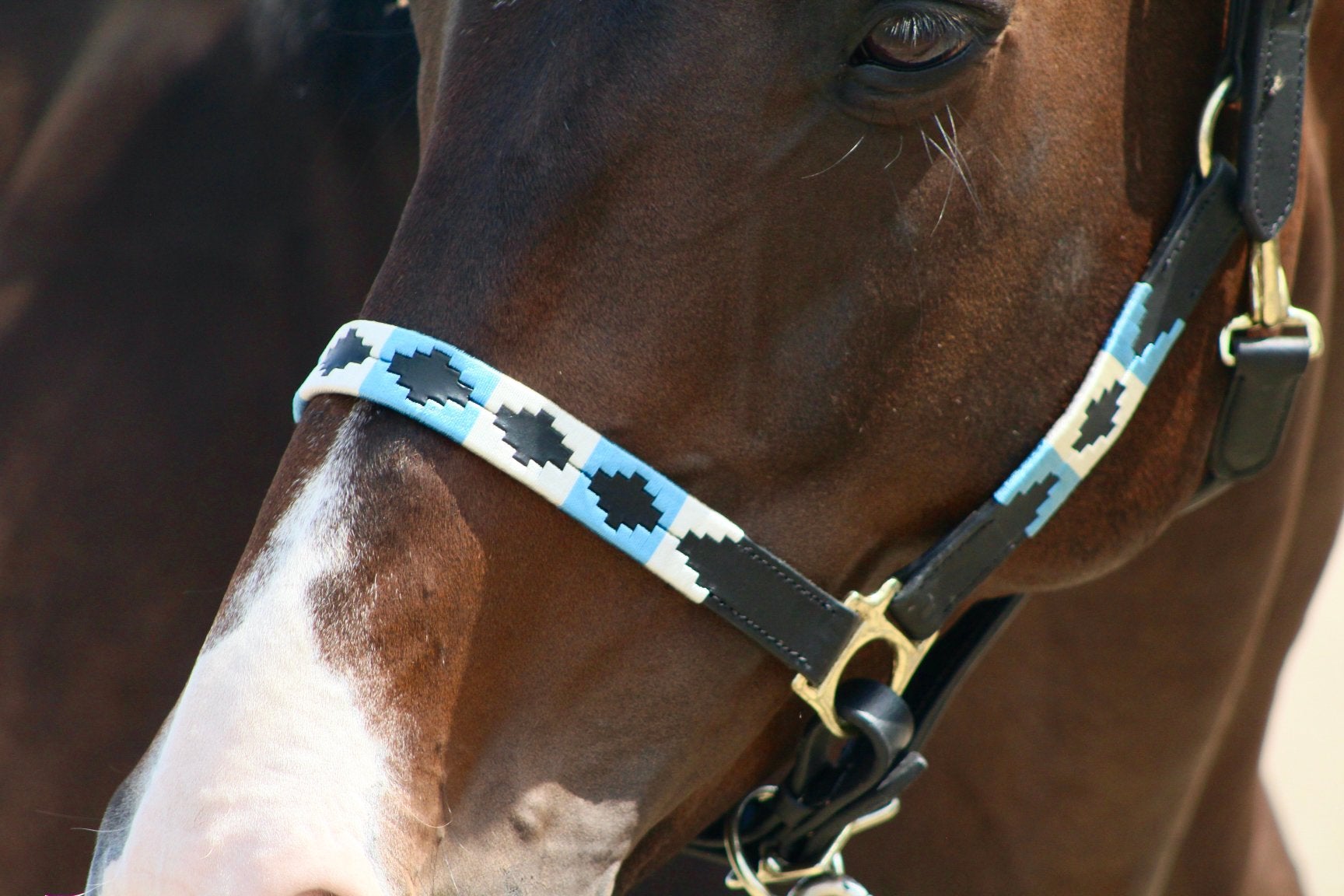 Polo halster cob licht blauw €35,00, Dieren en Toebehoren, Paarden en Pony's | Hoofdstellen en Tuigage, Nieuw, Ophalen of Verzenden