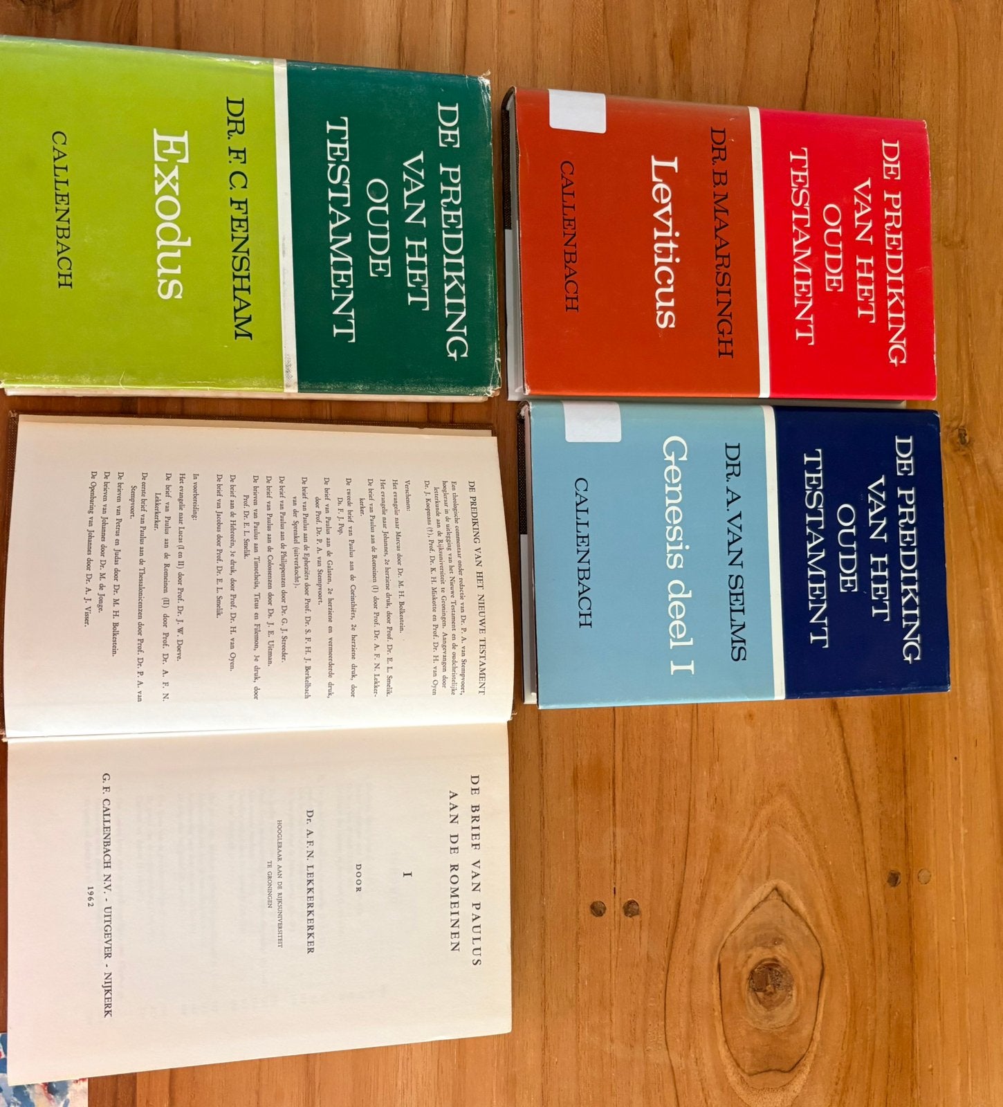 Studieboeken Religiewetenschap, Ophalen of Verzenden, Gelezen