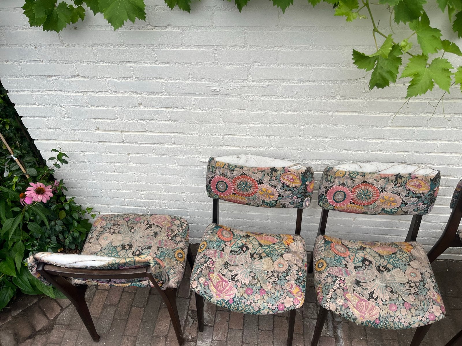 Vintage Eetkamerstoelen Ico Parisi voor Mim Roma, 1960s, Set, Ophalen