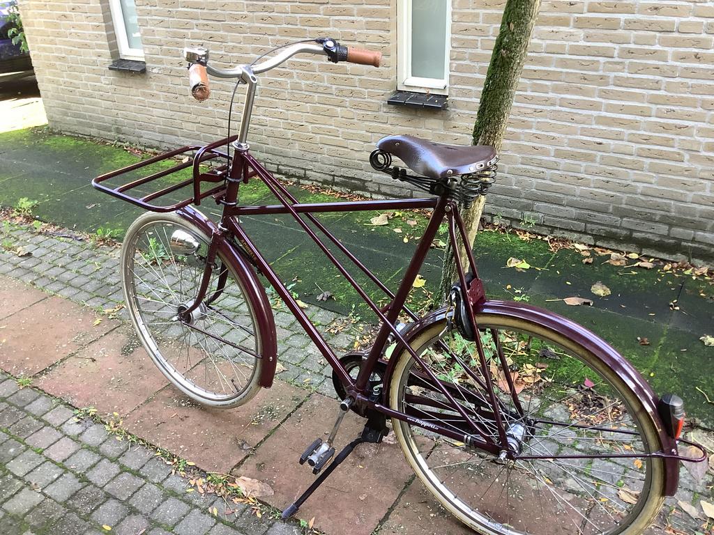 Achielle Graigthon Pickup V3 H 70 cm Pastoorsfiets, Terugtraprem, Gebruikt, Versnellingen, 65 cm of meer
