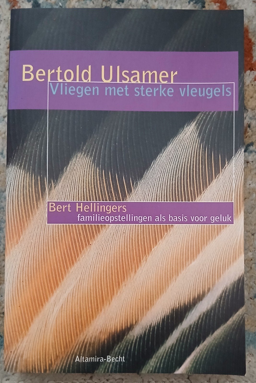 Bertold Ulsamer, Vliegen met sterke vleugels, Boeken, Ophalen of Verzenden, Gelezen