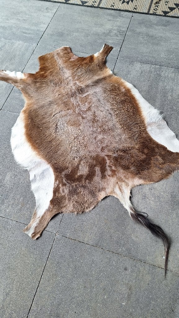 Geitenvel, 100 tot 150 cm, Bruin, Zo goed als nieuw, Rechthoekig