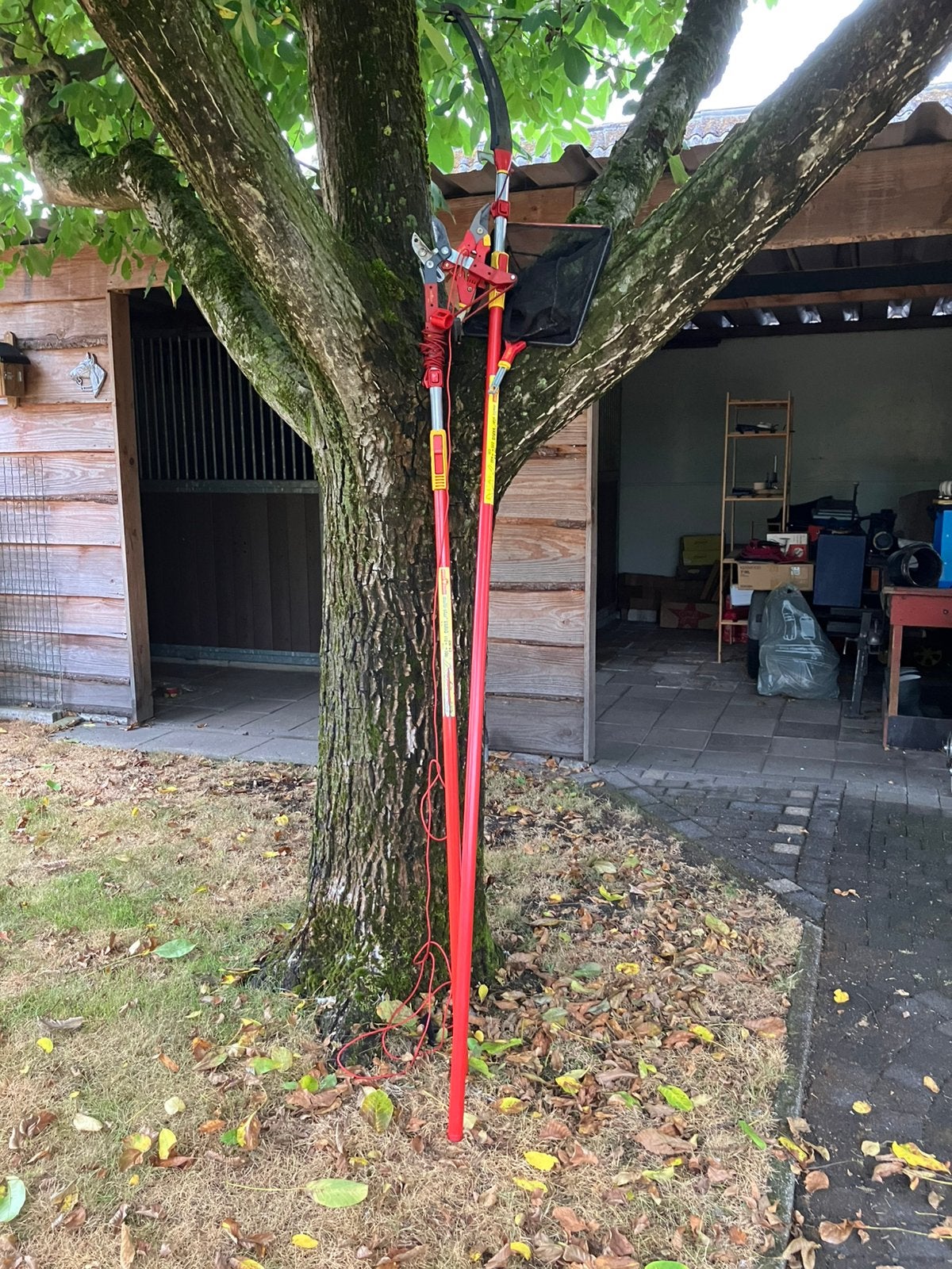 Wolf tuingereedschap, Ophalen, Volle zon, Overige soorten, 100 tot 250 cm