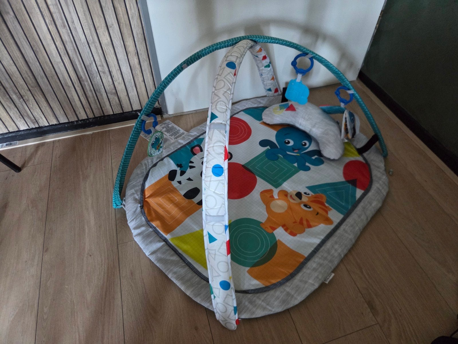 Babygym Baby Einstein met speelkleed, Ophalen, Zo goed als nieuw, Babygym, Met geluid