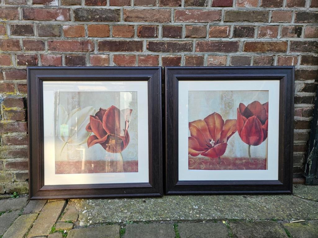 2 mooie bloemen schilderijen (tulpen), Ophalen