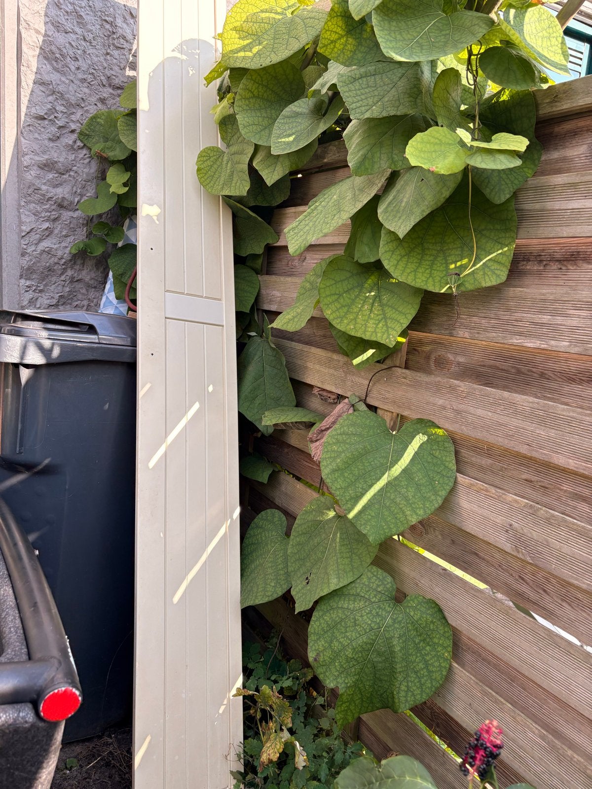 Vouwdeur Paxkast 136 cm hoog, Huis en Inrichting, Kasten | Kledingkasten, Ophalen, Gebruikt, 100 tot 150 cm, Minder dan 25 cm