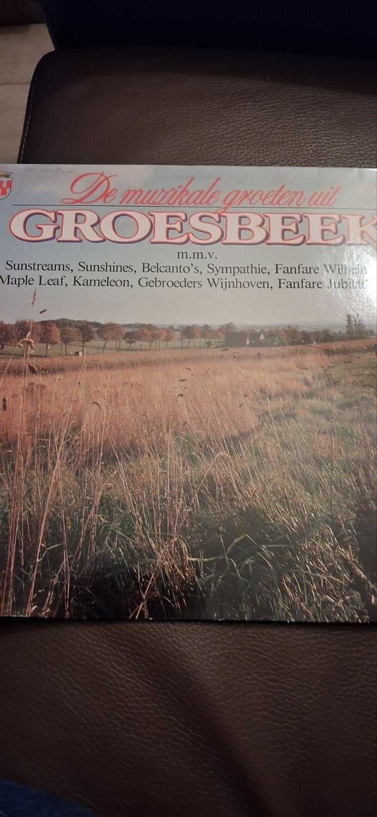 de muzikale groeten uit groesbeek, Verzenden, Zo goed als nieuw, Overige formaten, Piraten en Zeemansliederen