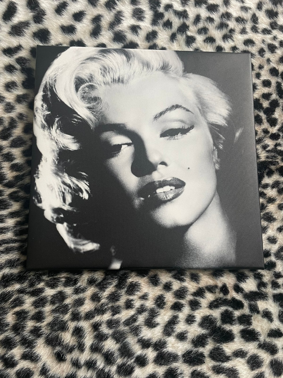 Marilyn monroe canvas schilderij 40x40, Ophalen, Zo goed als nieuw, Minder dan 50 cm, Schilderij