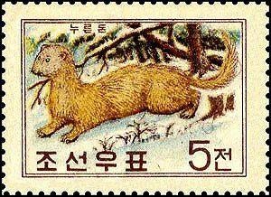 NOORD-KOREA 73 - Dieren: zoogdieren (wezel), Ophalen of Verzenden, Postfris, Dier of Natuur