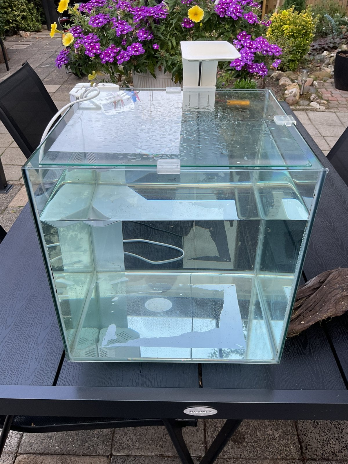 Aquarium met pomp en verlichting…, Dieren en Toebehoren, Ophalen, Inclusief toebehoren, Zo goed als nieuw, Leeg aquarium