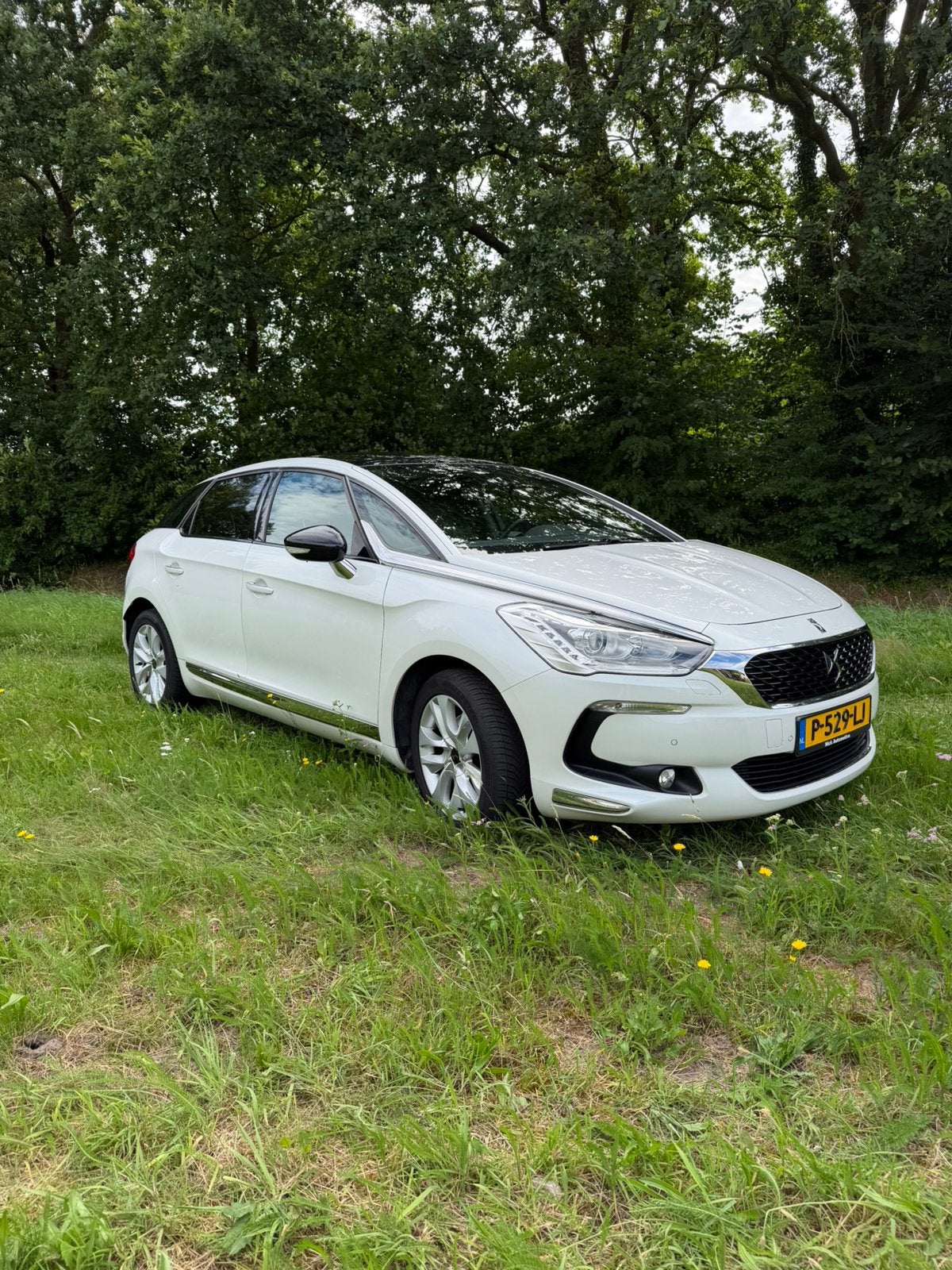 DS 5 THP 165pk S&S Aut 2017 Wit parelmoer, Auto's, DS, Particulier, DS 5, ABS, Achteruitrijcamera, Adaptive Cruise Control, Airbags