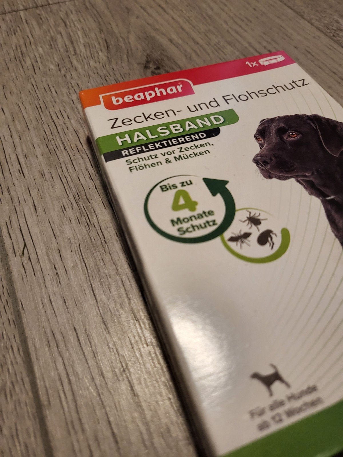 Nieuw: Beaphar Vlooien- en Tekenband Hond (65cm) - 100 STUKS, Overige merken, Ophalen of Verzenden, Nieuw, Halsband