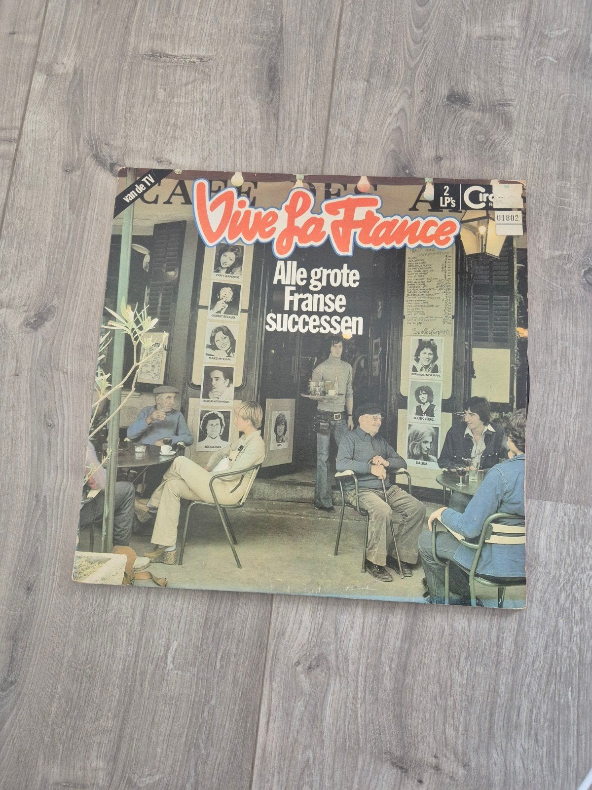 Vive la France - Alle grote Franse successen (2 LP's), Ophalen of Verzenden, Gebruikt