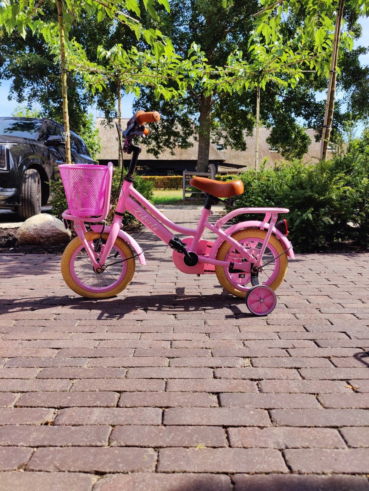Cortego Liberty 12 inch meisjesfiets 12 inch met zijwieltjes, Fietsen en Brommers, Ophalen, Terugtraprem, Zijwieltjes, Cortego Liberty