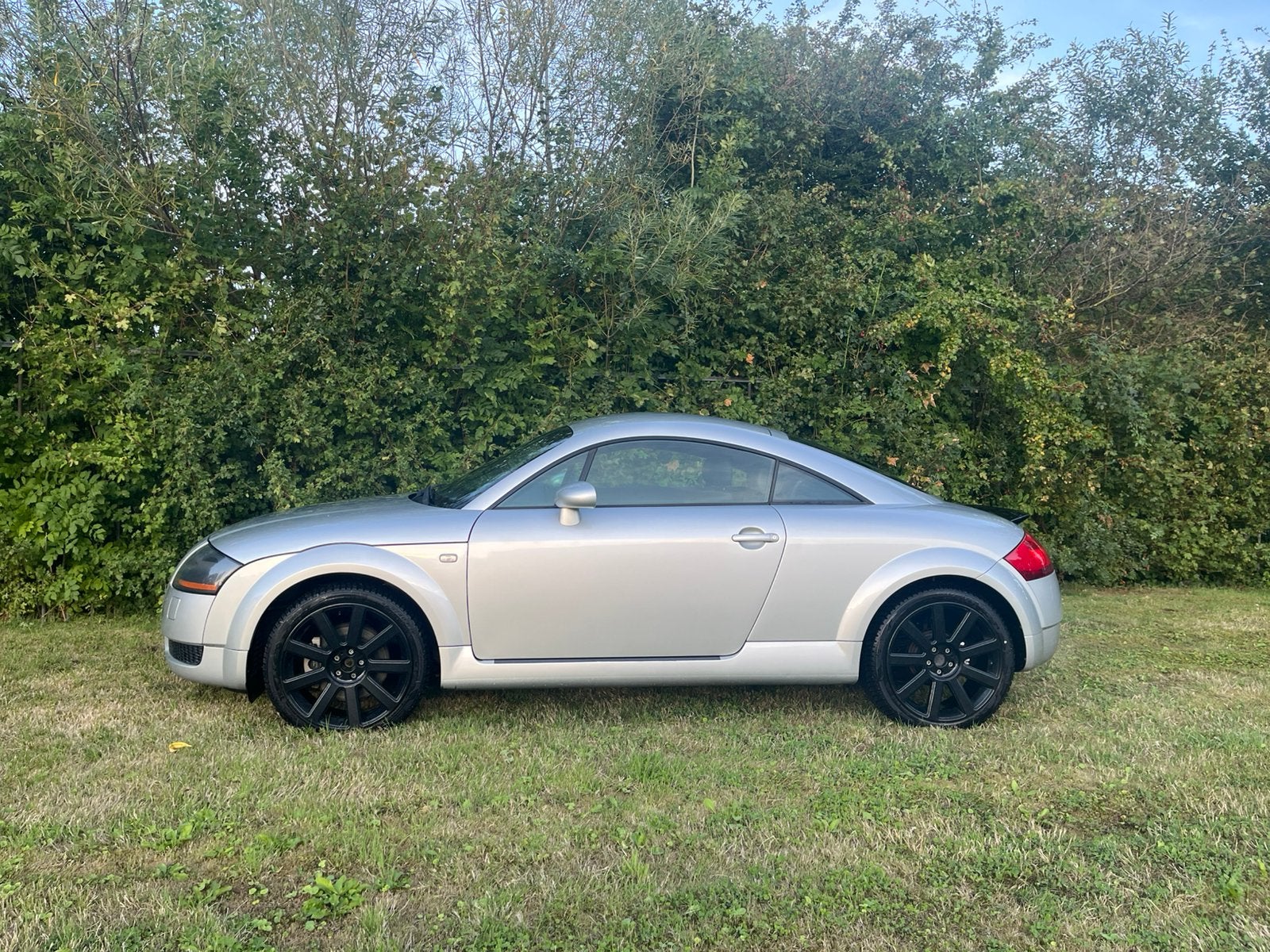 Foto 8 van Audi TT 1.8 T Coupe 132KW 1999 Grijs