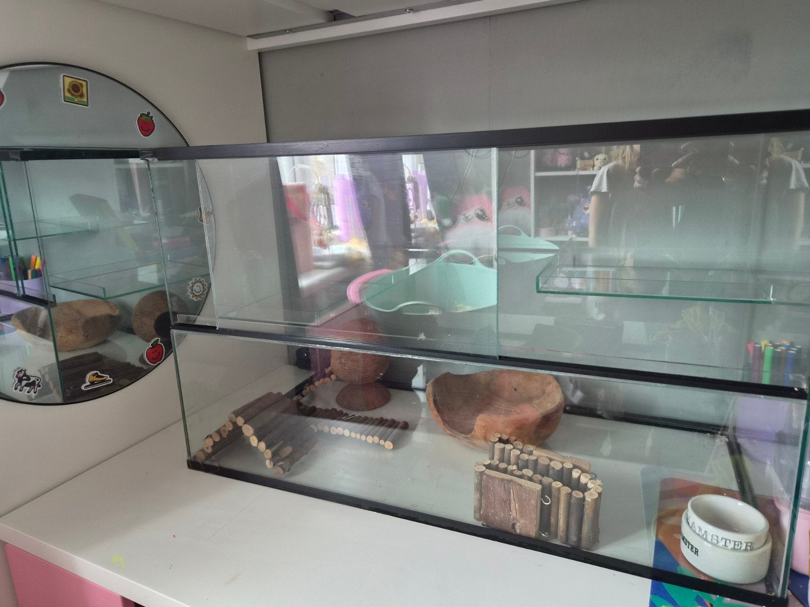 terrarium voor kleine knaagdieren, Dieren en Toebehoren, Gebruikt, 75 tot 110 cm, Ophalen, Minder dan 60 cm