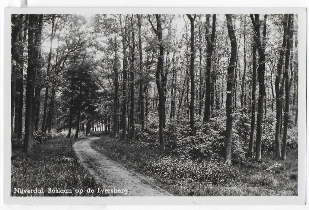Nijverdal op de Eversberg Oude Ongelopen Ansichtkaart 1594, Ophalen of Verzenden, Voor 1920, Ongelopen
