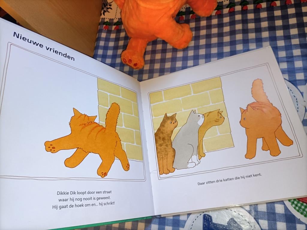 Dikkie Dik knuffel 24 cm + boek Dikkie Dik Maakt vriendjes, Ophalen of Verzenden, Zo goed als nieuw