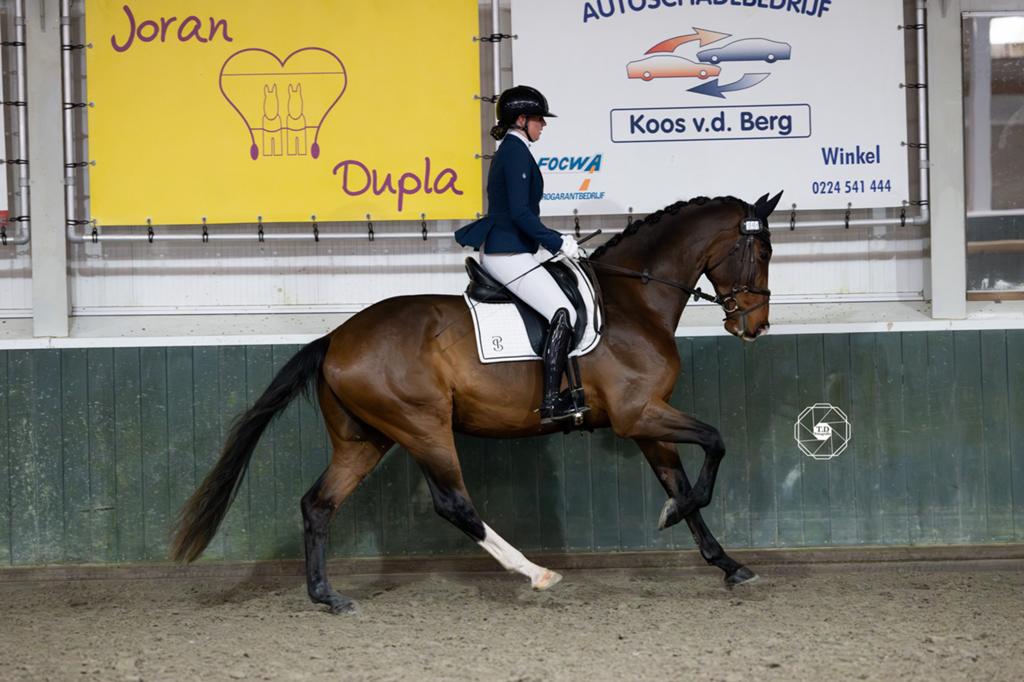Training & instructie aangeboden!