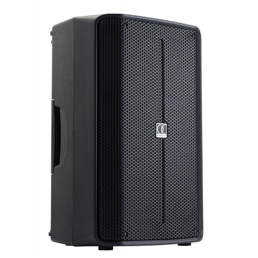 Actieve luidspreker 700 Watt Max 350Watt RMS 12 Inch, Audio, Tv en Foto, Luidsprekers, Overige merken, ., Overige typen, Nieuw