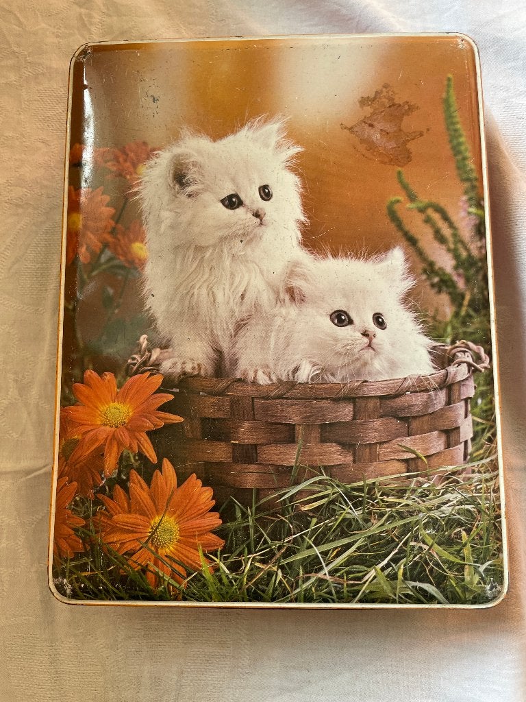 vintage metalen koekblik, Ophalen of Verzenden, Gebruikt, Koek(jes)