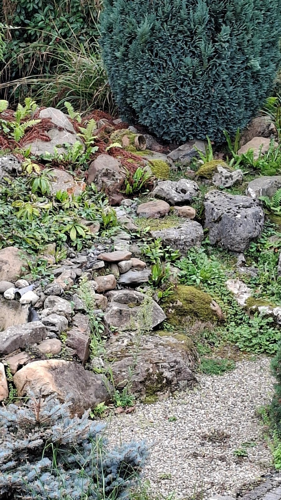 Natuurlijke tuinrotsen en keien voor landschapsinrichting, Ophalen, Overige materialen, Gebruikt, Kei