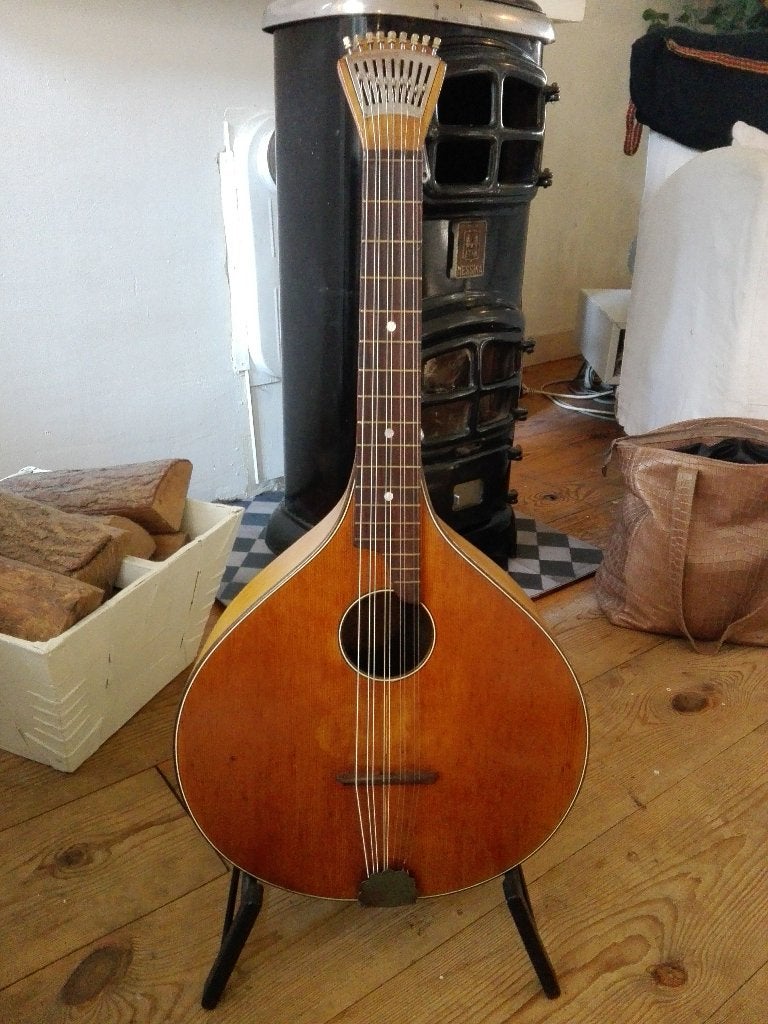Te koop: Waldzither met Thomann koffer, Ophalen, Gebruikt, Overige typen