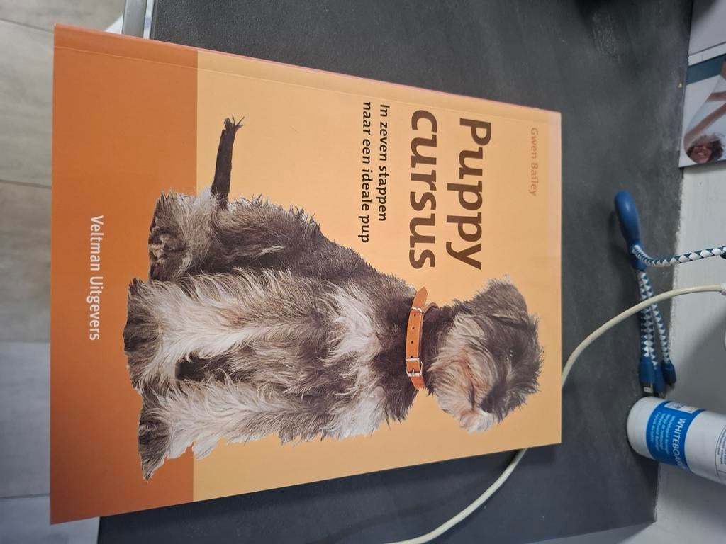 Gwen Bailey - Puppycursus, Honden, Ophalen of Verzenden, Zo goed als nieuw, Gwen Bailey