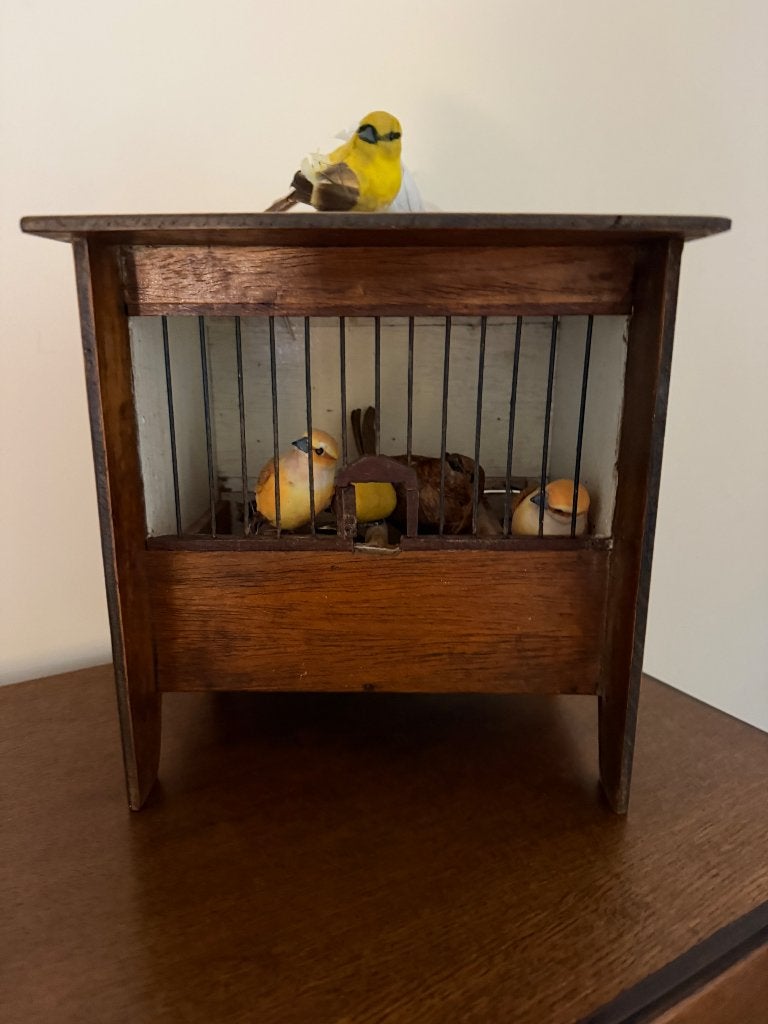 Vogelkooitje, Vinkenkooitje, Ophalen of Verzenden