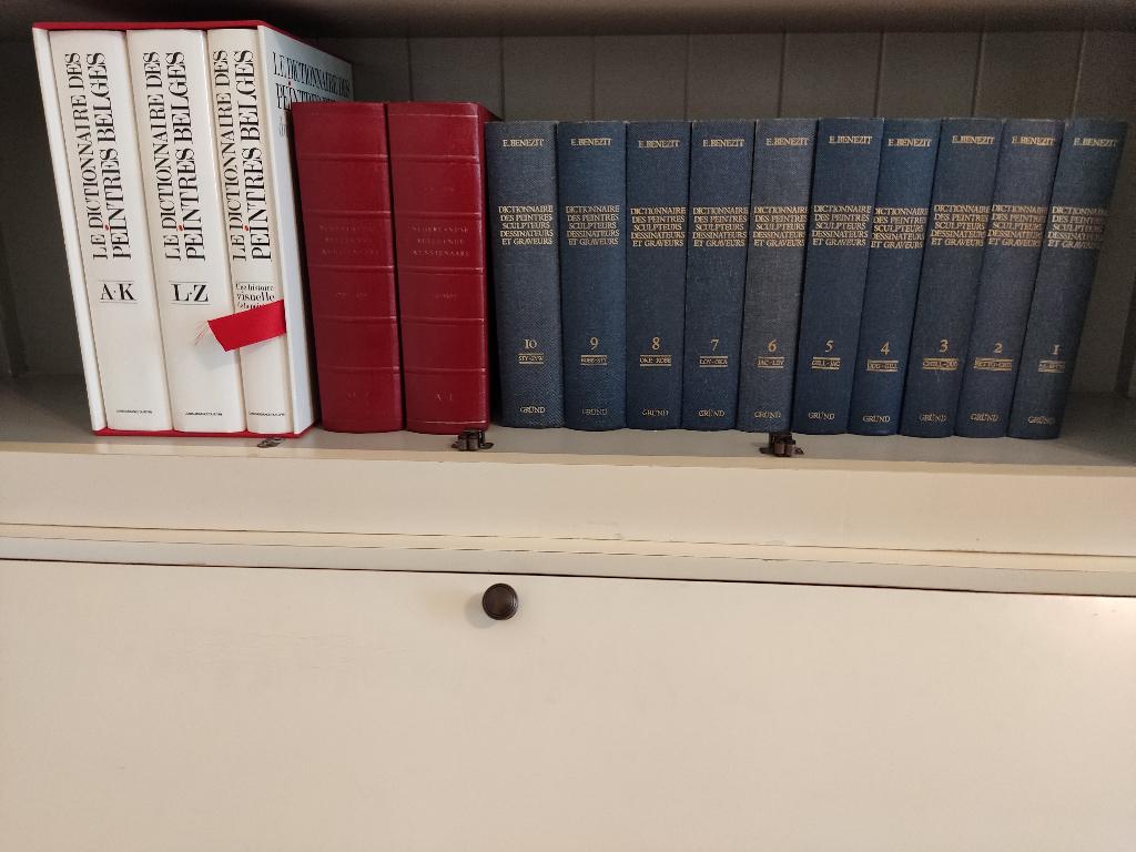 3 complete encyclopedieën beeldende kunst (15 boeken), Ophalen of Verzenden, Zo goed als nieuw, Schilder- en Tekenkunst, Meerdere auteurs