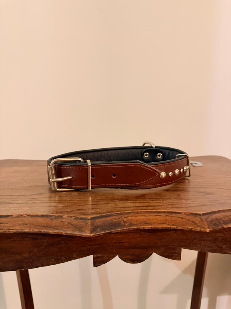 Nieuwe mooie leren honden halsband maat 70 cm met studs, Ophalen of Verzenden, Nieuw