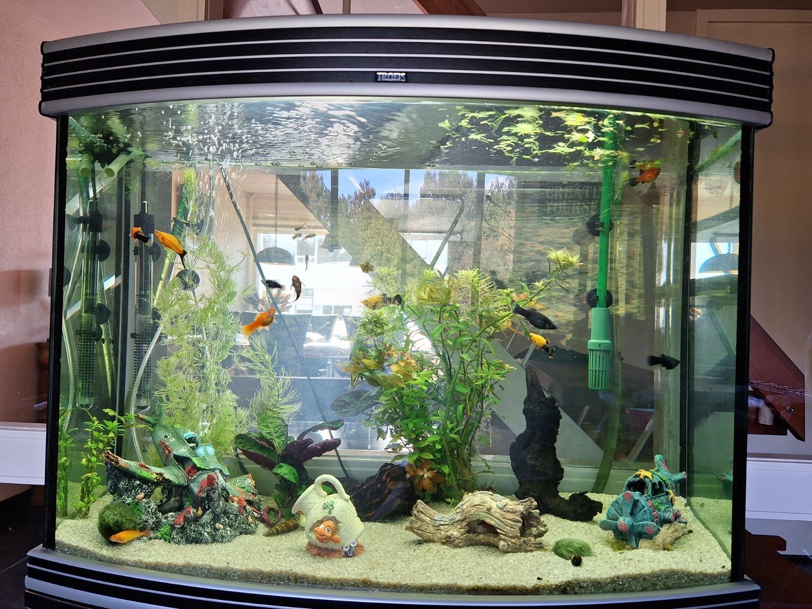 te koop aquarium Trofis, Ophalen, Gebruikt, Gevuld zoetwateraquarium, Overige merken